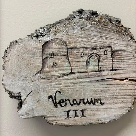 아파트호텔 Borgo Museum Xiv *